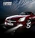 LUYED 2000 Lumens Super Bright 4014 51-EX Chipsets 880 886 890 892 Led Bulb With Projector Fog Lights,Xenon White