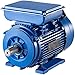 VEVOR Motor Eléctrico Asíncrono Monofásico, 2,2 kW Motores Eléctricos Monofásicos 2.860 RPM Motor Monofásico 220 V Motor Eléctrico Monofásico 50 Hz Motores Monofásicos Motor Eléctrico para Ventilador