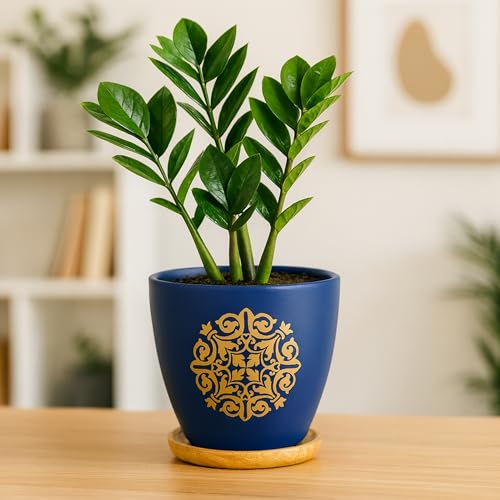 Image of Urban Plant Terracotta Pot with Wooden Saucer - Trendy Planter for Modern Home & Garden Spaces (Motif Terracotta Pot - Blue)