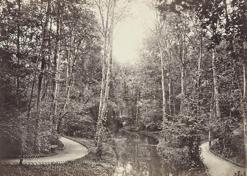 Pintura lienzo Stagno dei cervi Bois De Boulogne Charles Marville obra decorativa pared 60x90cm
