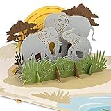 HÖCHSTE QUALITÄT - Unsere 3D-Karten bestehen aus hochwertigem italienischen Papier, das für maximale Stabilität und Haltbarkeit sorgt. Regelmäßige Kontrollen garantieren eine optimale Qualität.
