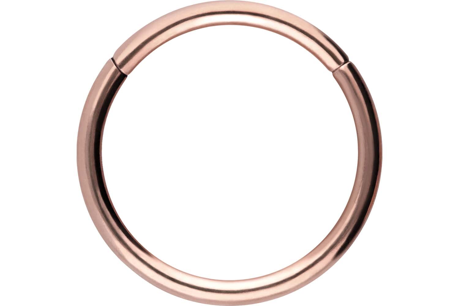 PIERCINGLINE Anillo segmento Clicker de acero quirúrgico – Piercing en oro, plata, rosa, negro o azul – para nariz, tabique, oreja, hélice o tragus — view 108