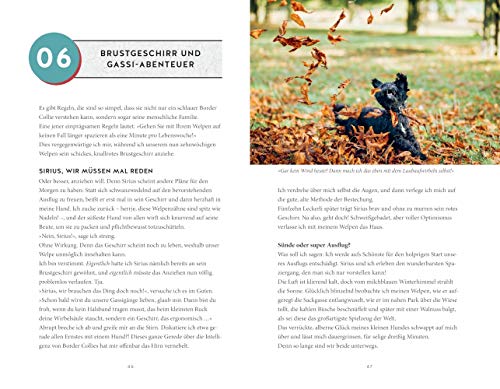 Die Kunst, einen Welpen zu bändigen: Der besondere Wegweiser durchs Leben mit einem jungen Hund (GU Welpen)
