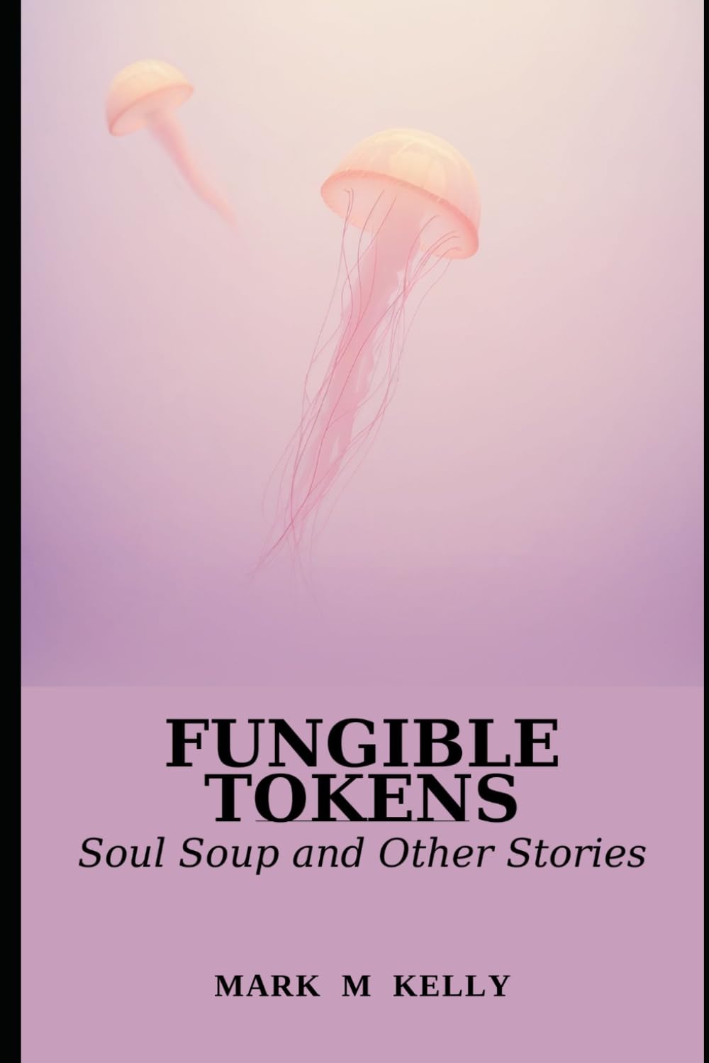 Fungible Tokens: Soul Soup and Other Stories