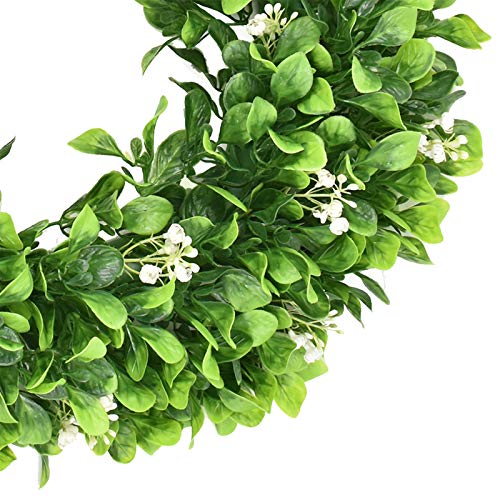 Cat's Collections Boxwood Leaf Wreath Green Leaf Wreath,16‘’ Artificial Plastics Spring Summer Wreath For Front Door Year Round Decor (Green) #TOP2