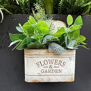 CVHOMEDECO. Farmhouse Metal Wall Planter Rustic Galvanized Flower Holder Wall Mount Flower pots for Indoor, Outdoor and Wall Decor, Grey, Set of 2 CVHOMEDECO Farmhouse Metal Wall Planter Rustic Galvanized Flower Holder Wall Mount Flower pots for Indoor Outdoor and Wall Decor Grey Set of 2