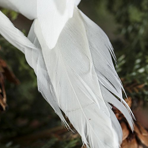 Factory Direct Craft Group of 12 White Sweet Artificial Mushroom Dove Birds