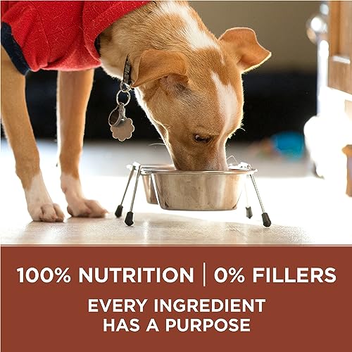 Purina ONE +Plus Dry Dog Food, Healthy Weight with Turkey - 7 kg Bag image 2