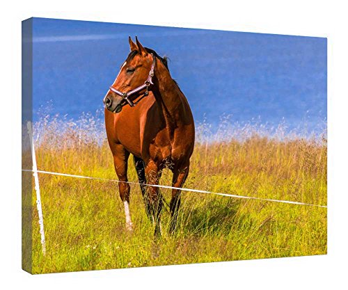 Tableau de cheval pour chambre enfant ou salon avec cadre bois