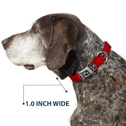 Collier chien Tennessee Buckle Down ajustable imprimé étoiles M - 7