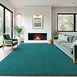 B BENRON Soft Rugs for Living Room 5x7 Teal Green, Minimalist Area Rug for Bedroom Nursery Dining Table Dorm, Throw Rugs for Men Boys Girls Kids Room Indoor Floor Carpets
