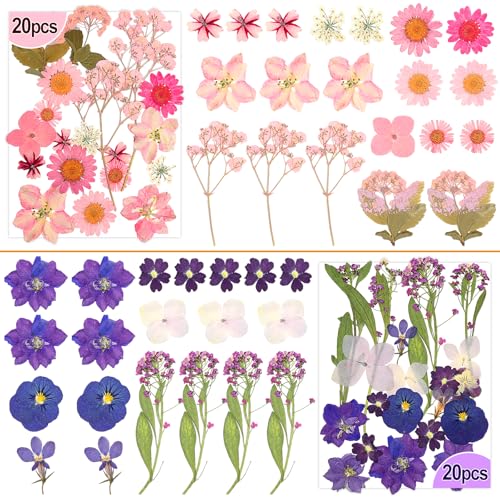 Image of 120 PCS Real Pressed Flowers, Natural Dried Pressed Flowers for Resin, Dried Florals Dry Flowers Leaves Kit with Tweezers for Scrapbooking DIY Art Crafts, Mother's Day Birthday Gift