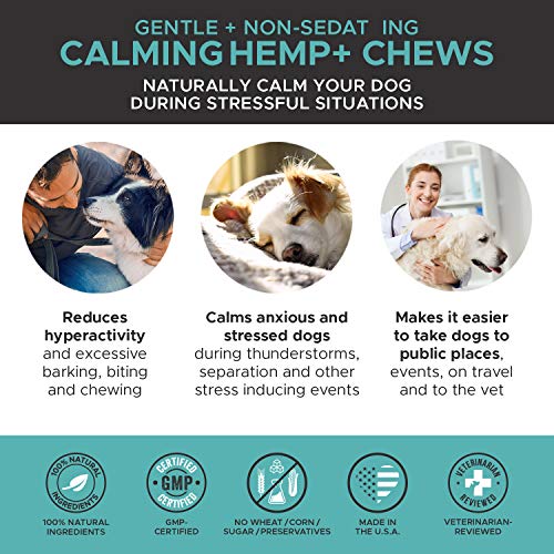 Calming Hemp Dog Treats by PetHonesty - Stress & Anxiety Relief - Image 5