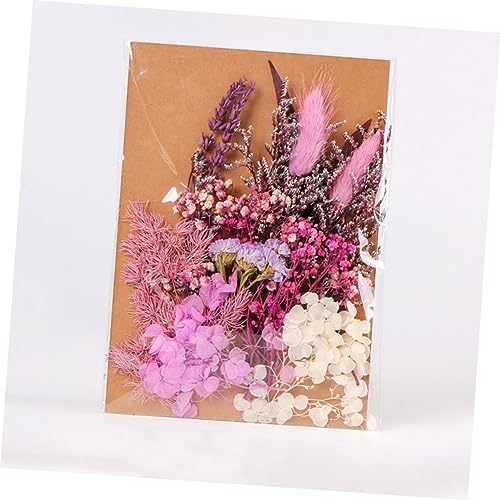 Kit de flores secas para manualidades y decoración miniatura 5