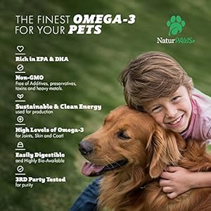 Omega 3 fish oil supplement for dogs and cats  1000 mg pure dha and epa omegas  supports healthy coat and skin heart immune system joints and hip  180 softgels   cucciolini doodles