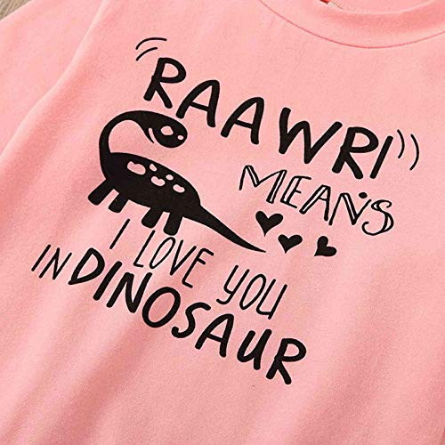 BOWINR Toddler Baby Girl Clothes Long Sleeve Letter Top Dinosaur Print Pants Set Winter Outfits(3_Years Pink)