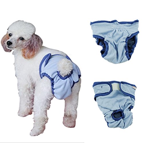 dog underwear for heat