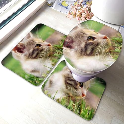 gC}bg Zbg 3_  킢lR n }bg gCWJo[ U^ O^ gC}bg Zbg ~ z  h ֊ӂJo[ ƒp zep