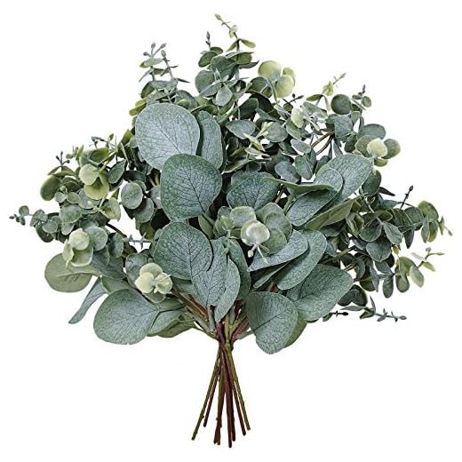 25 Creative Summer Wreath Ideas to Brighten Your Home 6 10 Pcs Mixed Eucalyptus Leaves Stems Bulk Artificial Silver Dollar Picks Faux Branches for Vase Bouquets Floral Arrangement Wreath Farmhouse Rustic Greenery Decor