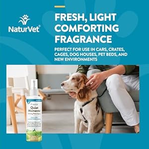   NaturVet-Quiet-Moments-Herbal-Calming-Room-Spray-Dog-Supplement--Ideal-for-Cars-Dog-Crates-New-Environments--Helps-Reduce-Pet-Stress-Storm-Anxiety-Motion-Sickness--8-Oz