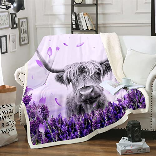 Homewish Highland Cow Blanket,Lavender Art Blanket,Farm Bull Cattle Sherpa Blanket,Rustic Farmhouse Western Style Animal Wild Theme Fleece Blanket For Bed Sofa Couch Deocr Purple 40"x50" - Image 3