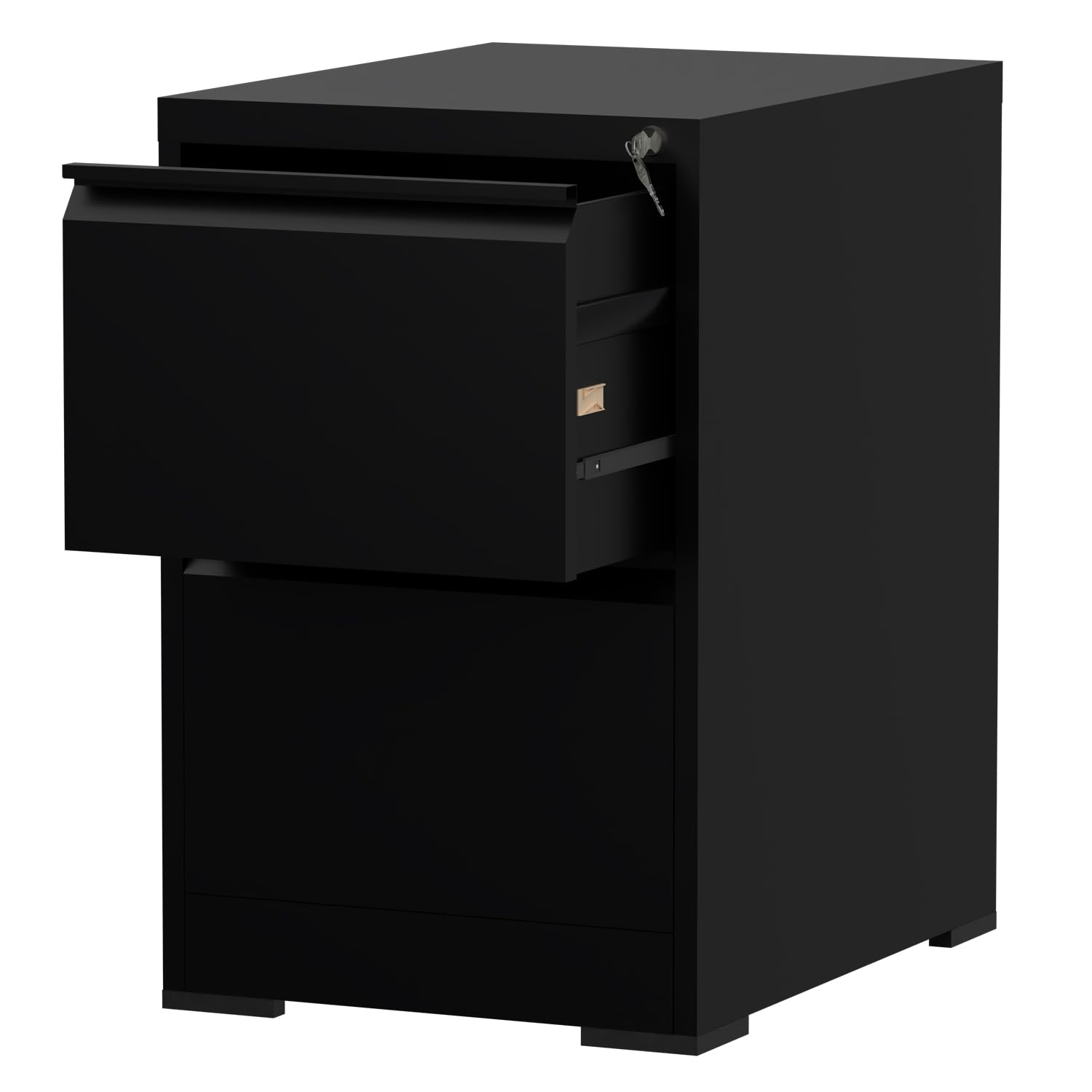 Mahmayi Godrej Oem File Steel Cabinet with Lock (2 Drawer, Black)