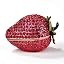 Red Strawberry