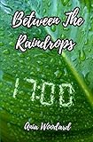 Between The Raindrops: An addictive and thrilling novella of domestic suspense | A gripping mystery novella with a twist | Mystery thriller love story