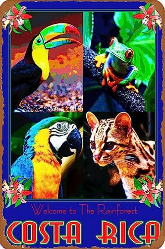 AJ AeB[N Ŕ̃uLŔ 20X30cm RX^JAMщJуZgA Be[W uL W 20X30cm