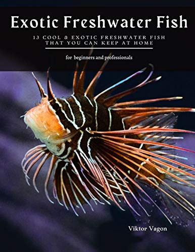 Exotic Freshwater Fish: 13 Cool & Exotic Freshwater Fish That You Can Keep at Home