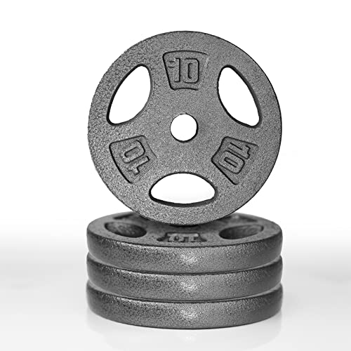 Top 10 Best 10 Lbs Weight Plates Reviews & Buying Guide Katynel