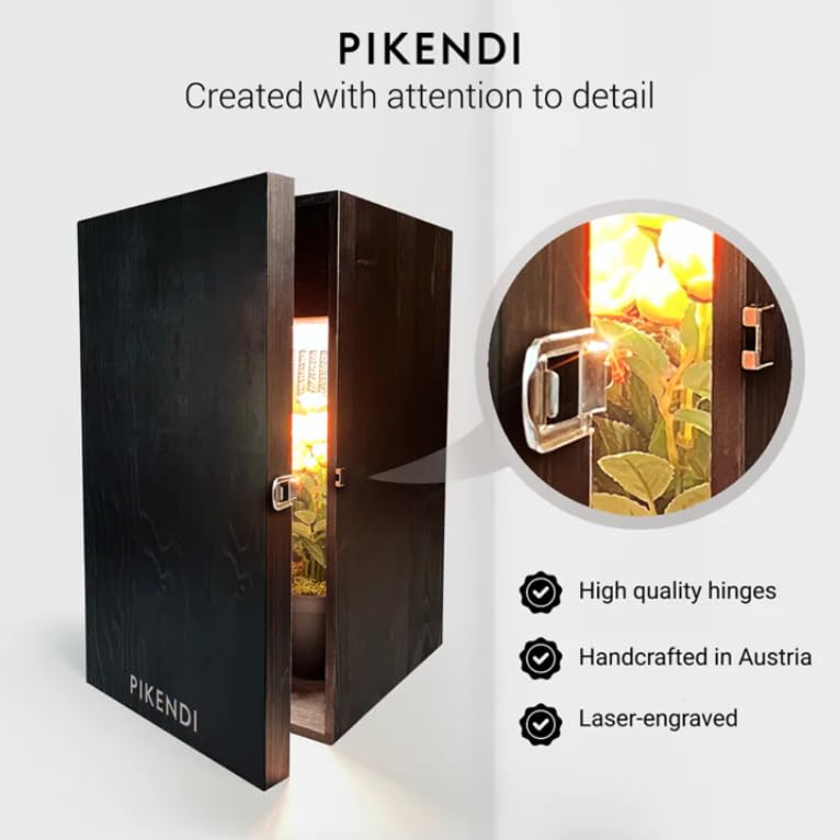Amazon.com: Pikendi Premium Black Mini Grow Box by Bonsanto, Full