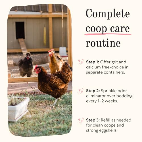 Image of Grubbly Farms Coop Necessities Bundle - Chicken Grit, Layer Calcium & Coop Conditioner - Proper Digestion, Strong Eggshells & Odor Control - Rose Quartz Grit, Aragonite Calcium, Deodorizer