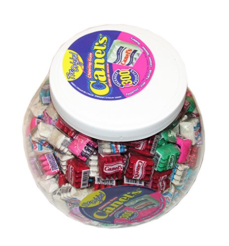 Canel's Chewing Gum - 300 Count image 5