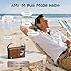 COLSUR Retro Radio mit Bluetooth Lautsprecher, Tragbarer Vintage Radio mit AM/FM Radios mit Batterie Wiederaufladbarer Lautsprecher mit Küchenradio Unterstützt USB/TF/AUX Funktion Geschenke für männer