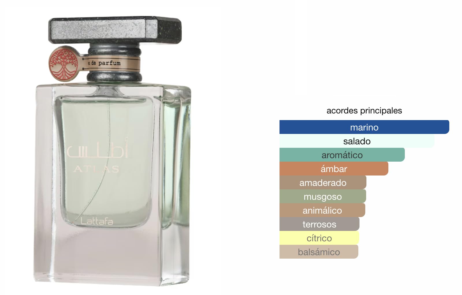 Lattafa Atlas Eau de Parfum 55ml, Perfume Árabe Unisex de Larga Duración, Incluye Atomizador Recargable 5 ml, Fragancia Fresca y Sofisticada con Notas de Mar, Iris y Ámbar (Atlas)