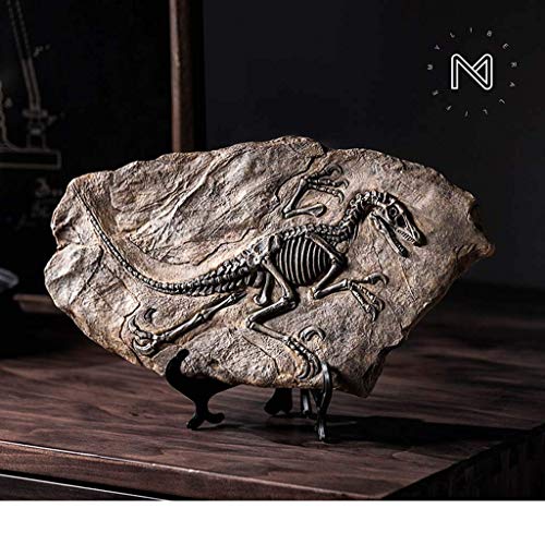 DZX Hauptdekoration Dinosaurier Fossil Statue, Harz Dinosaurier Fossil Modell Büro Wohnzimmer Weinschrank Dekoration… – Bild 5
