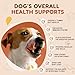 ZEBORA Probiotics for Dogs, Dog Probiotics, for Digestive Health, Plus Pumpkin and Fish Oil, for Gut & Itchy, 180 Soft Chews