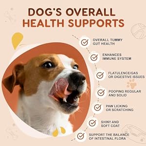 Probiotics for Dogs Dog Probiotics for Digestive Enzymes Health with pumpkin, Fish Oil, Enzymes, Supports Gut & Immune & Itchy - 120 Soft Chews Probiotics for Dogs Dog Probiotics for Digestive Enzymes Health with pumpkin, Fish Oil, Enzymes, Supports Gut & Immune & Itchy – 120 Soft Chews