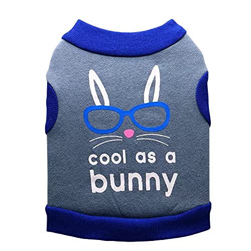 PETANGEL Drooling Small Pet Shirt Breathable Spring & Winter Cotton Fleece Sleeveless Shirt For Maltese, Shih Tzu, Poodle, Lhasa etc.(Size: L, Chest Girth 45cm,Back Length 34 cm,Pet Weight: 3.5Kg-6.5Kg) (B09SPKT15N) Amazon Price History, Amazon Price Tracker