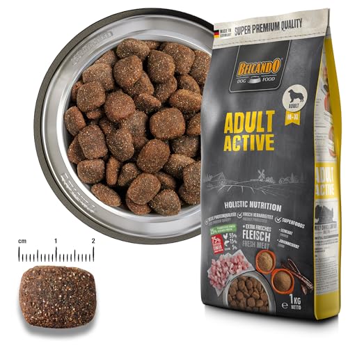Belcando Adult Active [12,5 kg] Hundefutter | Trockenfutter für aktive Hunde & Sporthunde | Alleinfuttermittel für ausgewachsene Hunde ab 1 Jahr