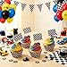 TecUnite 100 Pcs Race Car Checkered Flag Cupcake Wrappers Liners and 100 Pcs Cupcake Toppers Race Car Party Cake Decoration for Racing Checkered Theme Birthday Party (Black and White)