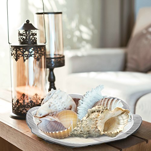Gac Elegant 13 Inch Scalloped Tempered Glass Round Serving Platter Unbreakable – Chip Resistant – Oven/Microwave Safe – Dishwasher Safe – Stackable Decorative Charger Plate, Glass Serving Tray #TOP1