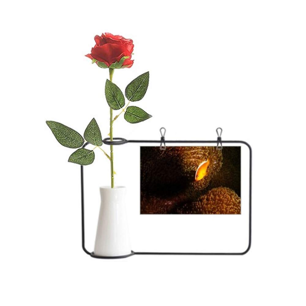 Anémone artificielle à suspendre rose, décor de corail et poisson pour bouteille
