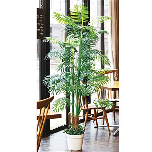 観葉植物 アレカヤシ 人工観葉植物の人気商品 通販 価格比較 価格 Com