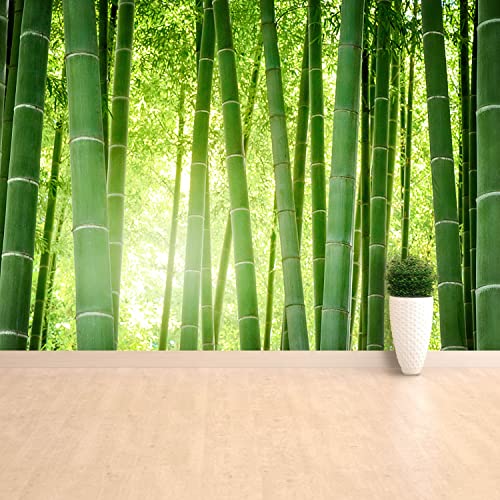 Papier peint foret de bambou moderne de dimensions 250x104cm pour decoration murale interieure - 6