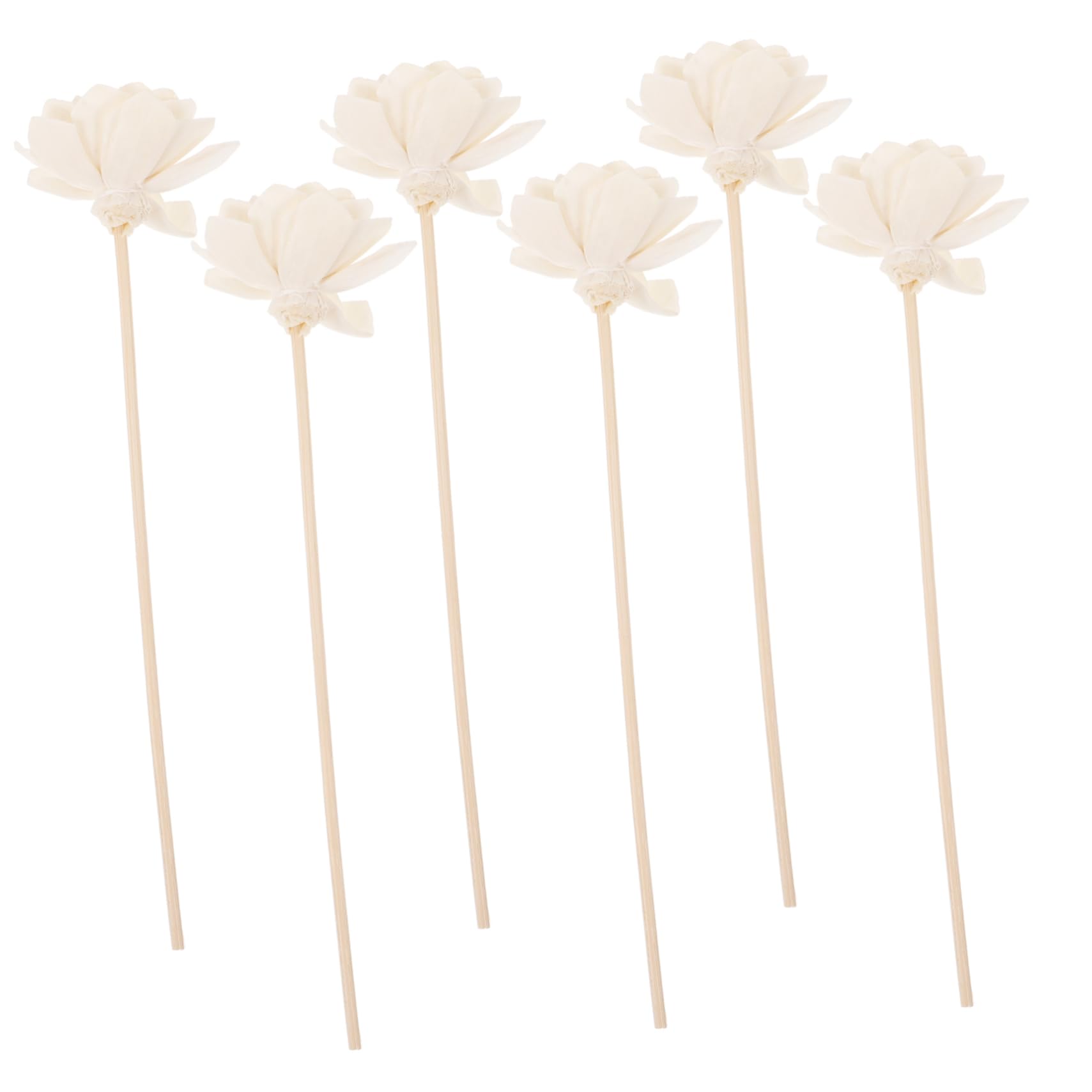 GALPADA 5 Set Rattan Per Aromaterapia Senso Nebbia Capsule Diffusori Bruciatore Essential Oil Diffuser Aroma Diffuser Decori Domestici Bastoncino Per Aromaterapia Fiori Secchi 6 Pezzi*5