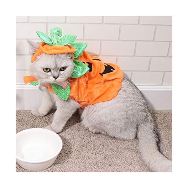 Popetpop cat pumpkin costume-halloween cat costume suits clothes hatdress headbands festival pumpkin costumes for dogs cats - image 7