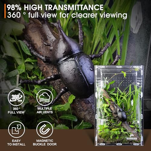 Mygiikaka CWMX00001-L Acrylic Jumping Spider Enclosure, Insect Terrarium, Bug Enclosure, Spider Cage, Jumping Spider Habitat, Praying Mantis Habitat, Arboreal Tarantula Enclosure thumb #3