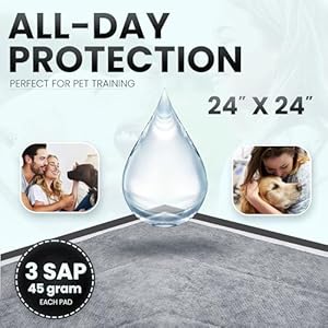 Healqu Puppy Pads – 24×24 100 Count Dog Training Pad Black Charcoal, Activated Carbon & Advanced Leakproof Technology – Ultra Absorbent, Puppy Pee Pads – Dogs, Puppies, & Cats, Pet Training Pads